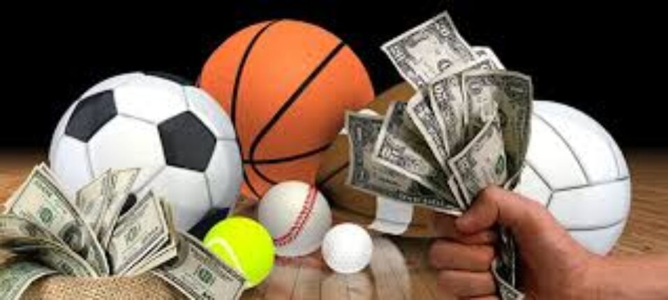 Winexch – Where Every Bet Could Be Your Big Win 3