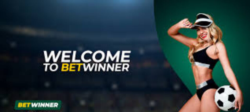 BetWinner in Taiwan A Comprehensive Guide