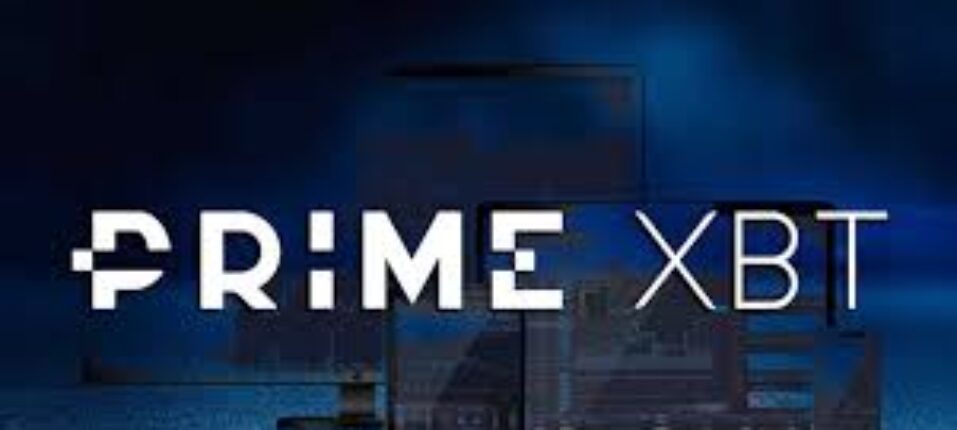 Maximize Your Trading with PrimeXBT Forex
