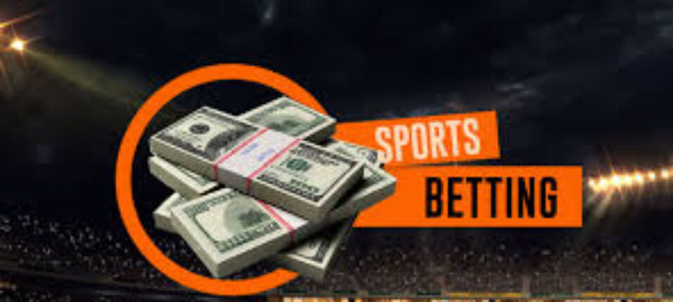 Your Ultimate Guide to 3333bet BD