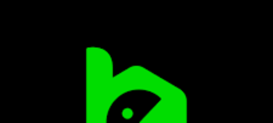 Understanding BC App Verification Securing Your Digital Experience