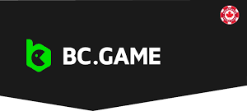 Experience the Thrill of Crash on BCGame.sk