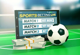 Betwinner Online Bahis Dünyasının Kapılarını Aralayın 338562644