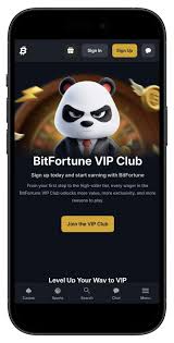 Bitfortune A Responsible Gaming Platform for Crypto Players