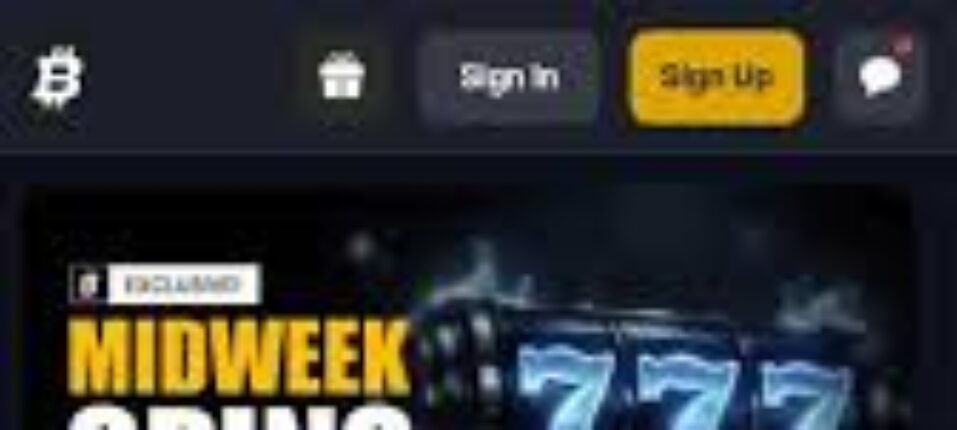 Duck Racing Bankroll Strategy Explained