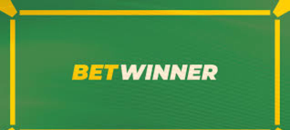 Comprehensive BetWinner Player Reviews Insights and Experiences