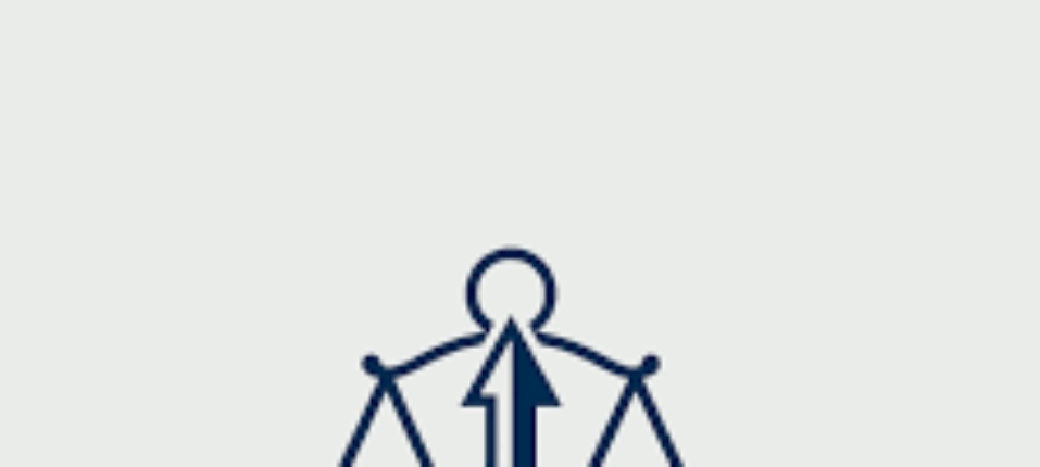 International Sanctions Defense Navigating Legal Challenges in a Globalized World