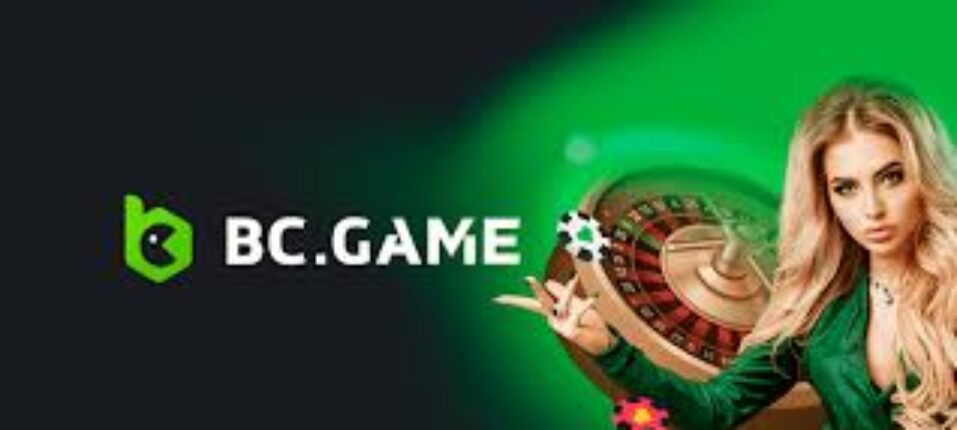 Understanding BC Hash Game Crash Strategies and Insights 1028971332