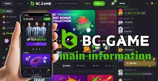 Understanding the BC.Game Login Process 603342363