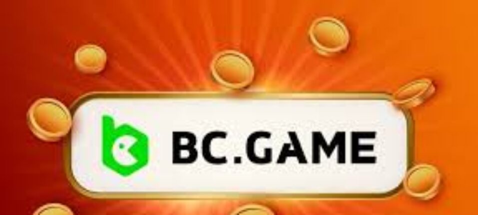 Unlocking the Potential of BC Co Miner A Comprehensive Guide